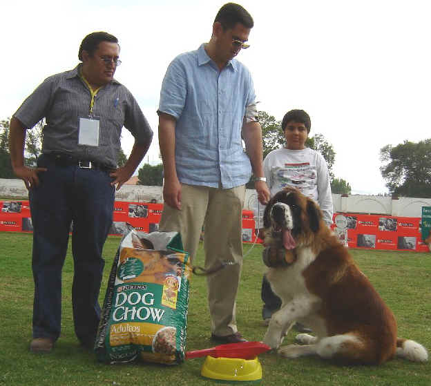 Ral, Adrin,Turco y Len Felipe