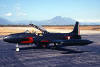 t33