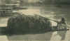 132775.jpg (30328 bytes)