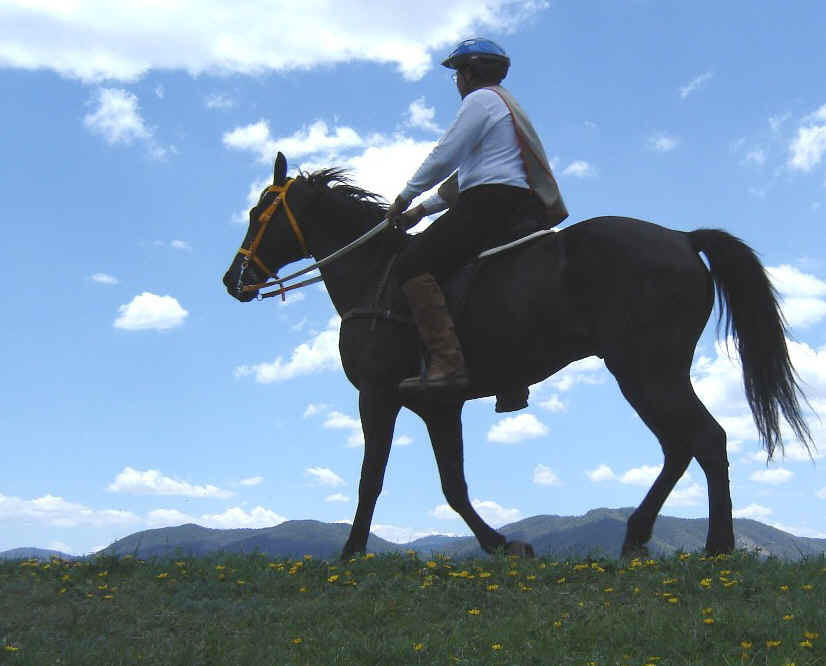 El Ganador de la competencian de 40 Km. El Capi en plena accin, el caballo de nombre Gernimo...