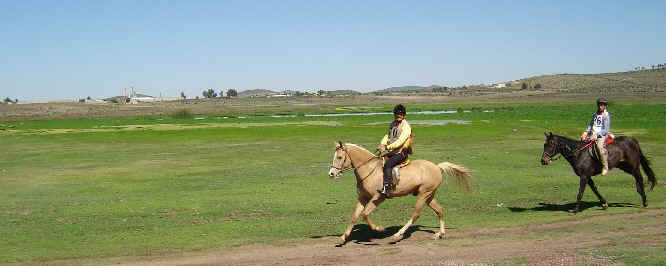 Jorge Vizcaino