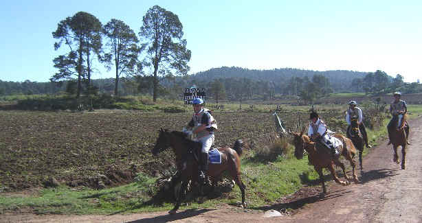 Por el camino a San Rafael, abajo del rancho de los Escandn...