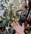 xoconozcle